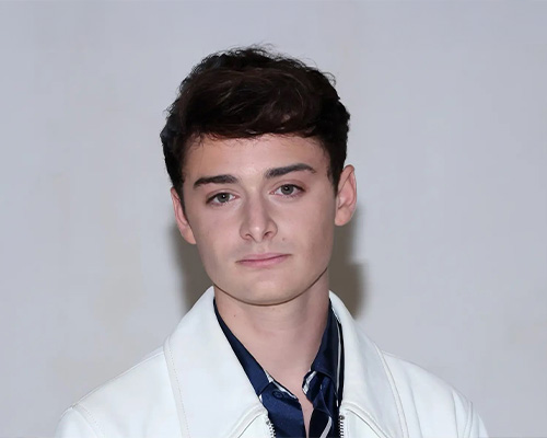 Headshot of Noah Schnapp