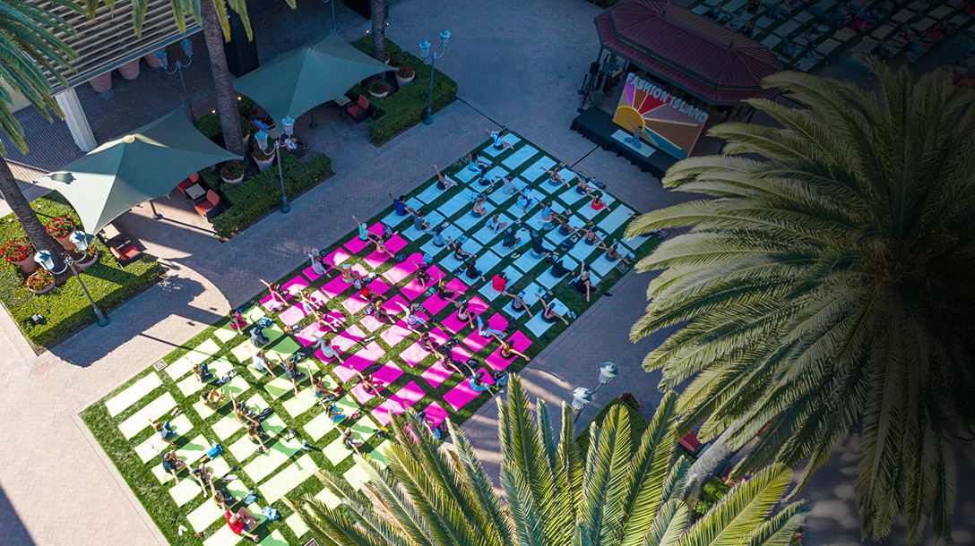 Aerial shot of a workout on the lawn